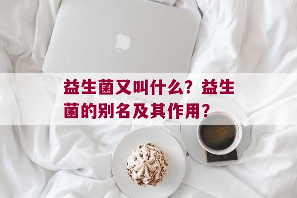 益生菌又叫什么？益生菌的别名及其作用？
