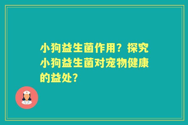 小狗益生菌作用？探究小狗益生菌对宠物健康的益处？