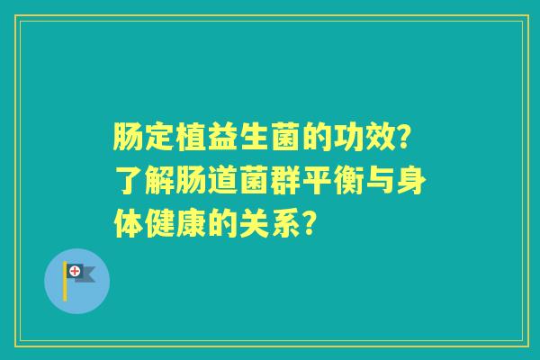 肠定植益生菌的功效？了解肠道菌群平衡与身体健康的关系？