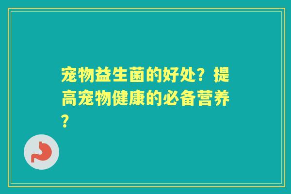 宠物益生菌的好处？提高宠物健康的必备营养？