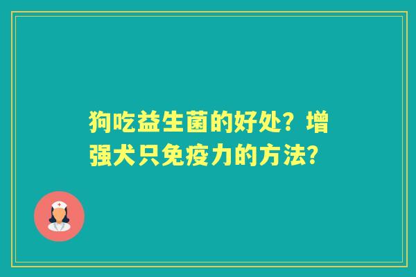狗吃益生菌的好处？增强犬只力的方法？