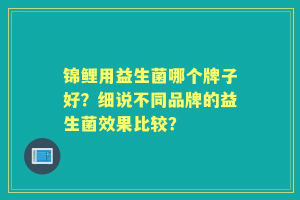 锦鲤用益生菌哪个牌子好？细说不同品牌的益生菌效果比较？