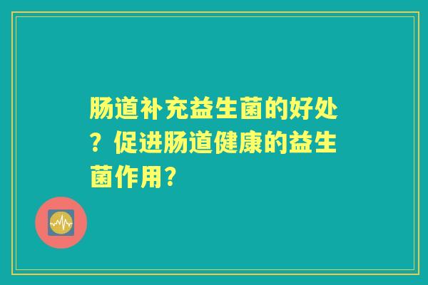 肠道补充益生菌的好处？促进肠道健康的益生菌作用？