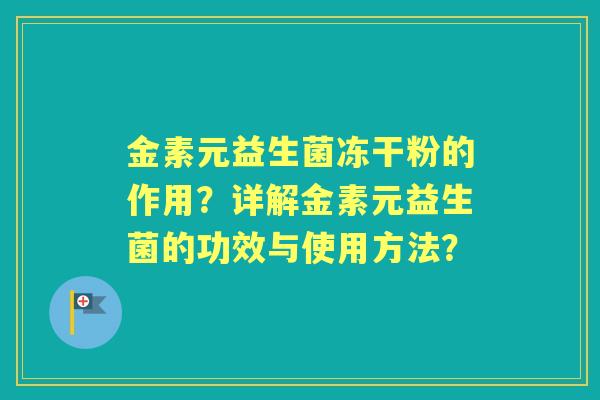 金素元益生菌冻干粉的作用？详解金素元益生菌的功效与使用方法？