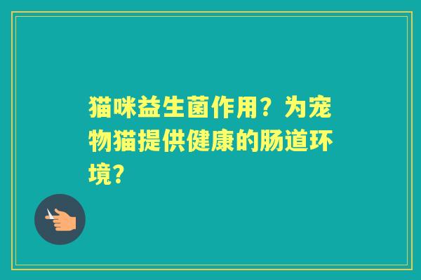 猫咪益生菌作用?为宠物猫提供健康的肠道环境? 猫咪益生菌作用?为宠物猫提供健康的肠道环境?