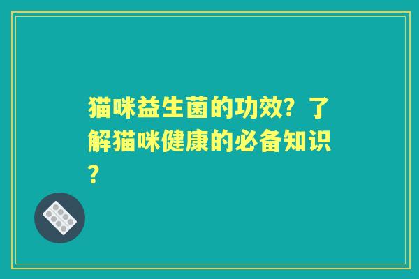 猫咪益生菌的功效？了解猫咪健康的必备知识？
