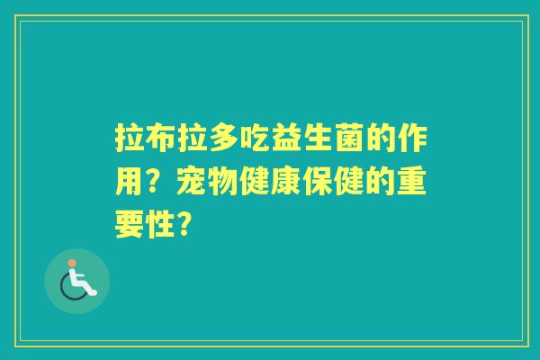 拉布拉多吃益生菌的作用?宠物健康保健的重要性? 拉布拉多吃益生菌的作用?宠物健康保健的重要性?