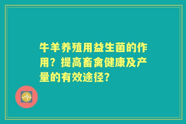 牛羊养殖用益生菌的作用？提高畜禽健康及产量的有效途径？