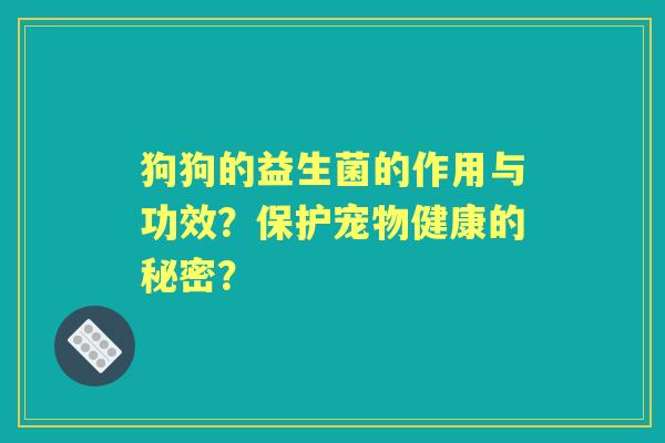 狗狗的益生菌的作用与功效？保护宠物健康的秘密？
