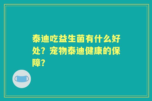 泰迪吃益生菌有什么好处？宠物泰迪健康的保障？
