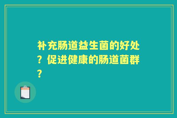 补充肠道益生菌的好处？促进健康的肠道菌群？