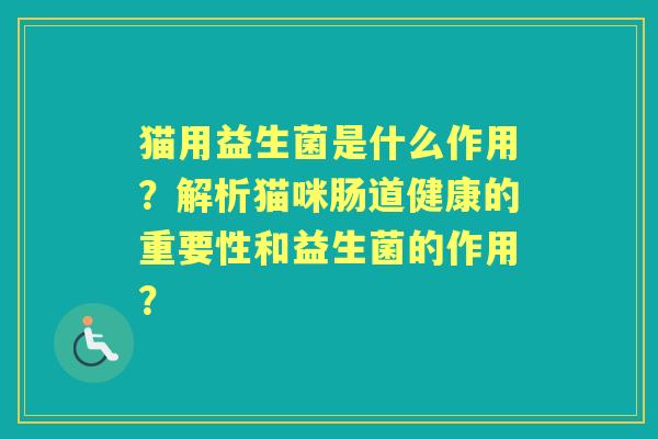 猫用益生菌是什么作用？解析猫咪肠道健康的重要性和益生菌的作用？