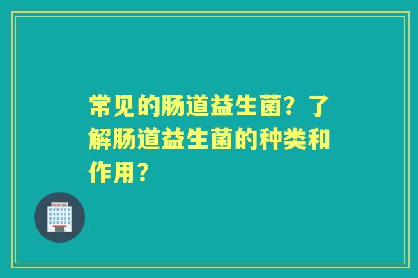 常见的肠道益生菌？了解肠道益生菌的种类和作用？