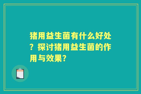 猪用益生菌有什么好处？探讨猪用益生菌的作用与效果？