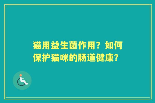 猫用益生菌作用？如何保护猫咪的肠道健康？
