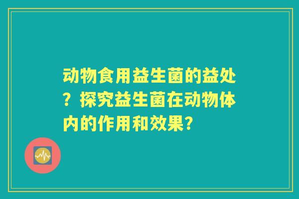 动物食用益生菌的益处？探究益生菌在动物体内的作用和效果？