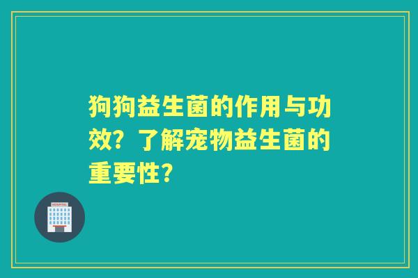 狗狗益生菌的作用与功效？了解宠物益生菌的重要性？