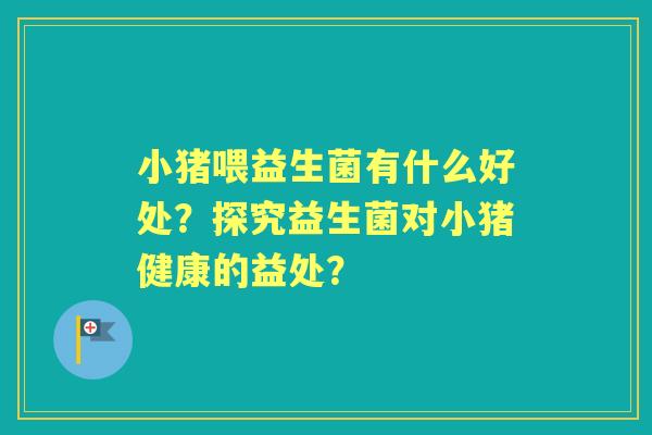 小猪喂益生菌有什么好处？探究益生菌对小猪健康的益处？