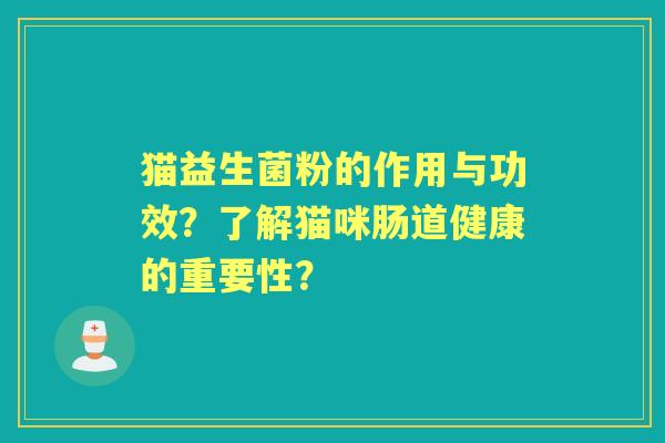 猫益生菌粉的作用与功效？了解猫咪肠道健康的重要性？