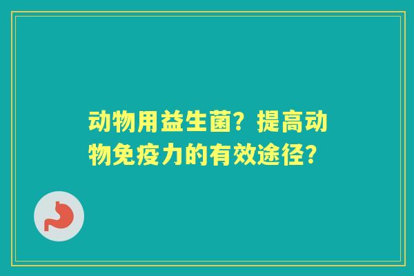 动物用益生菌？提高动物力的有效途径？