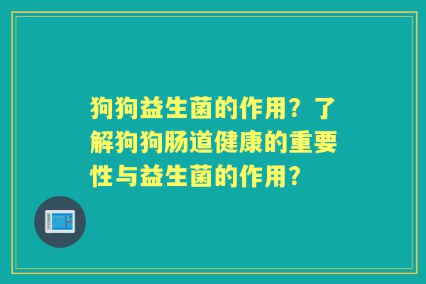狗狗益生菌的作用？了解狗狗肠道健康的重要性与益生菌的作用？