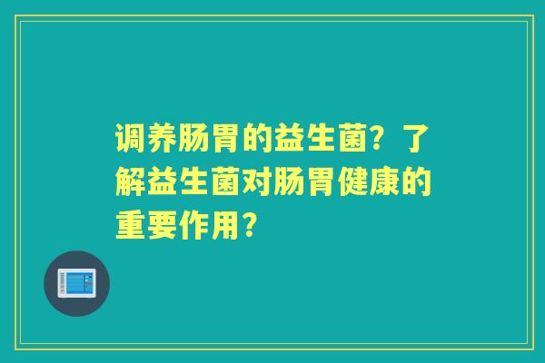 调养肠胃的益生菌？了解益生菌对肠胃健康的重要作用？