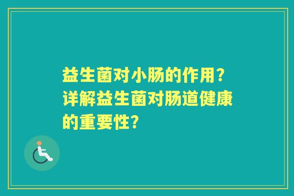 益生菌对小肠的作用？详解益生菌对肠道健康的重要性？