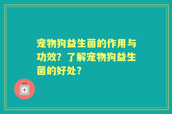 宠物狗益生菌的作用与功效？了解宠物狗益生菌的好处？
