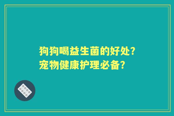 狗狗喝益生菌的好处？宠物健康护理必备？