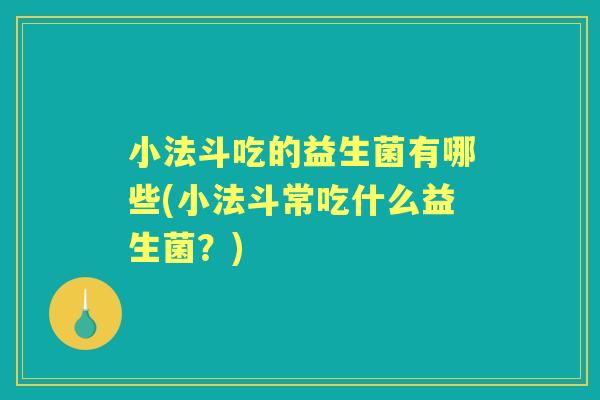 小法斗吃的益生菌有哪些(小法斗常吃什么益生菌？)
