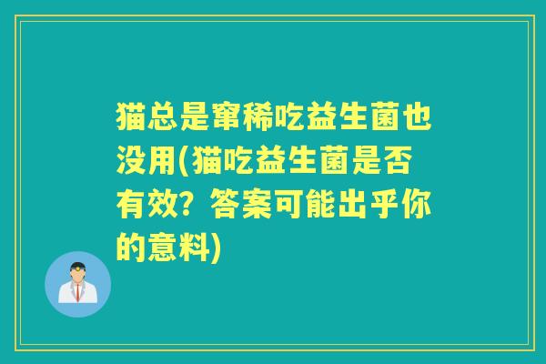 猫总是窜稀吃益生菌也没用(猫吃益生菌是否有效？答案可能出乎你的意料)