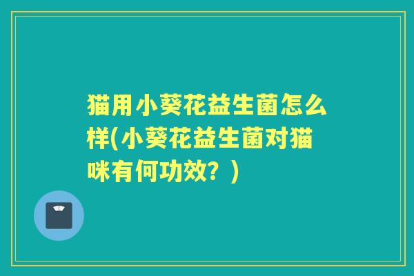 猫用小葵花益生菌怎么样(小葵花益生菌对猫咪有何功效？)