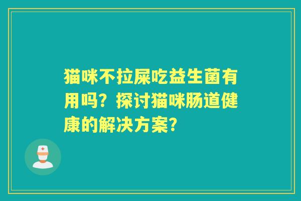 猫咪不拉屎吃益生菌有用吗？探讨猫咪肠道健康的解决方案？