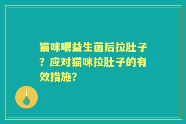 猫咪喂益生菌后拉肚子？应对猫咪拉肚子的有效措施？