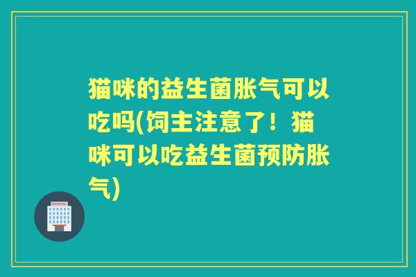 猫咪的益生菌可以吃吗(饲主注意了！猫咪可以吃益生菌)