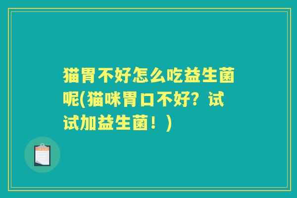 猫胃不好怎么吃益生菌呢(猫咪胃口不好？试试加益生菌！)