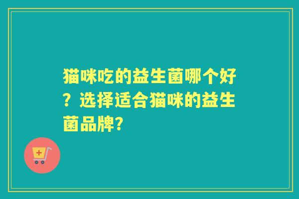 猫咪吃的益生菌哪个好？选择适合猫咪的益生菌品牌？