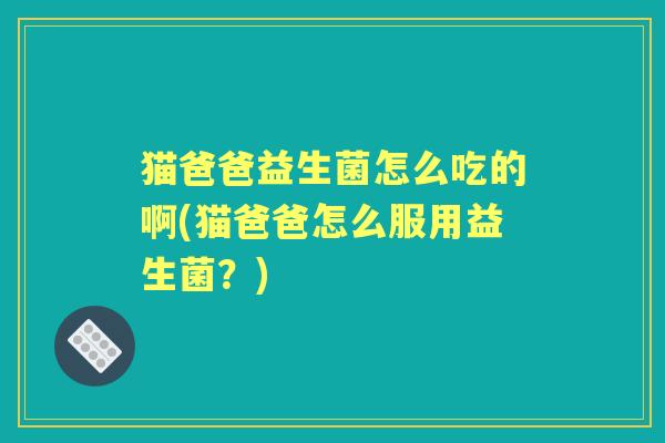 猫爸爸益生菌怎么吃的啊(猫爸爸怎么服用益生菌？)
