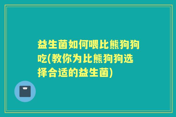 益生菌如何喂比熊狗狗吃(教你为比熊狗狗选择合适的益生菌)