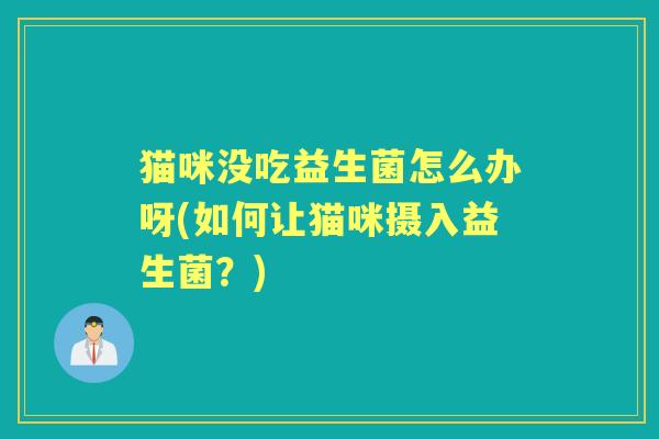 猫咪没吃益生菌怎么办呀(如何让猫咪摄入益生菌？)