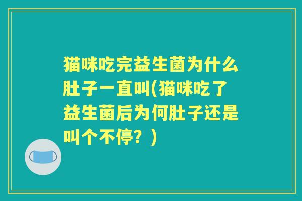 猫咪吃完益生菌为什么肚子一直叫(猫咪吃了益生菌后为何肚子还是叫个不停？)