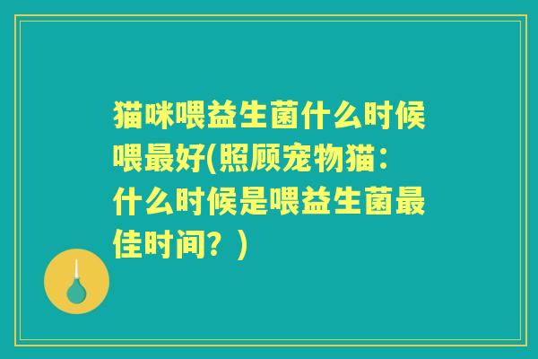 猫咪喂益生菌什么时候喂好(照顾宠物猫：什么时候是喂益生菌佳时间？)