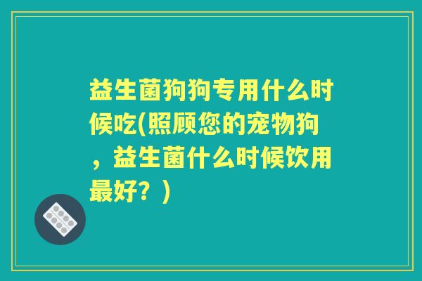 益生菌狗狗专用什么时候吃(照顾您的宠物狗，益生菌什么时候饮用好？)