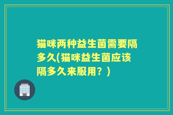 猫咪两种益生菌需要隔多久(猫咪益生菌应该隔多久来服用？)
