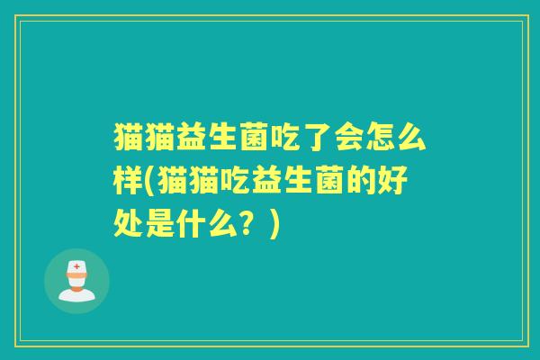 猫猫益生菌吃了会怎么样(猫猫吃益生菌的好处是什么？)