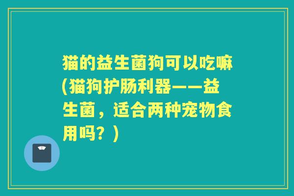 猫的益生菌狗可以吃嘛(猫狗护肠利器——益生菌，适合两种宠物食用吗？)
