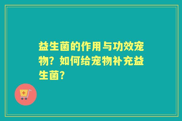 益生菌的作用与功效宠物？如何给宠物补充益生菌？