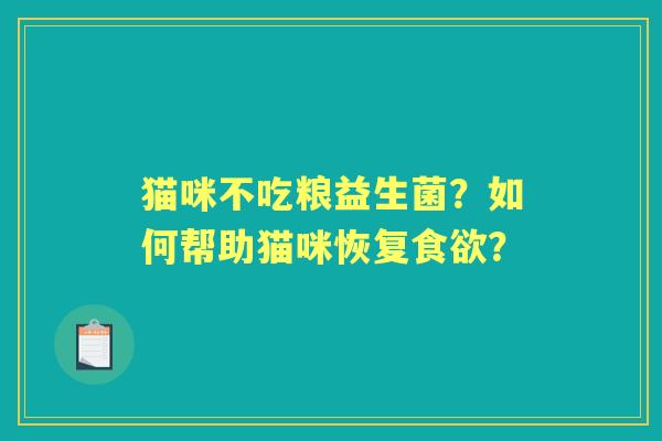 猫咪不吃粮益生菌?如何帮助猫咪恢复? 猫咪不吃粮益生菌?如何帮助猫咪恢复?