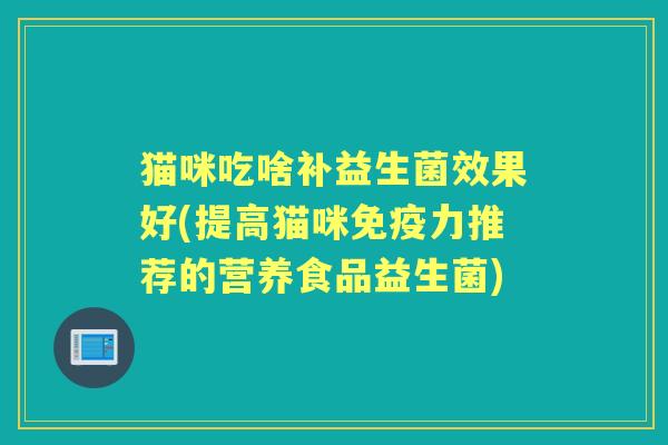 猫咪吃啥补益生菌效果好(提高猫咪力推荐的营养食品益生菌)