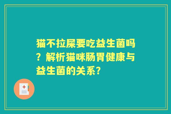 猫不拉屎要吃益生菌吗？解析猫咪肠胃健康与益生菌的关系？